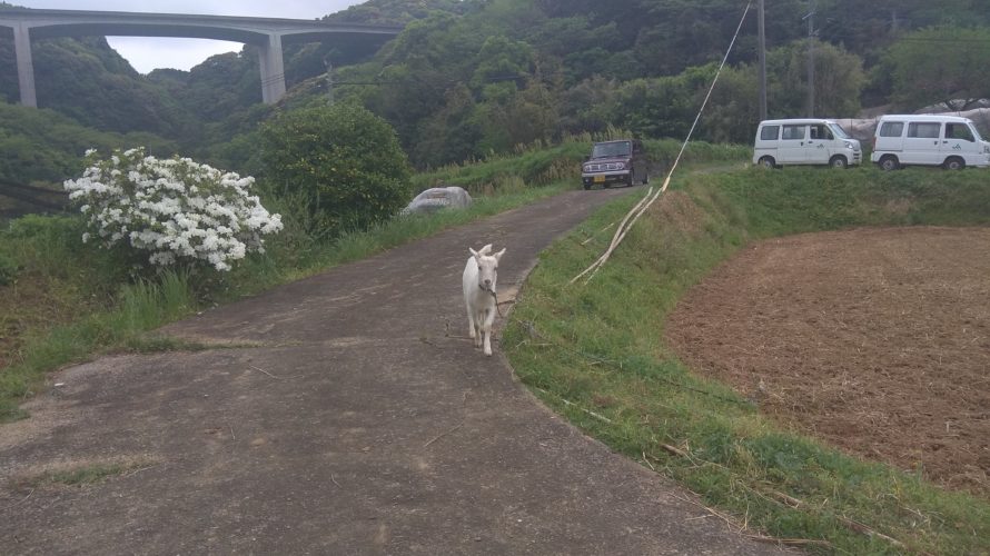 就農に向けて　９歩目